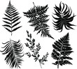 palm leaves set pattern black and white vector illustration