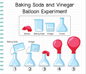 Wall Mural - science experiment with baking soda and vinegar balloon