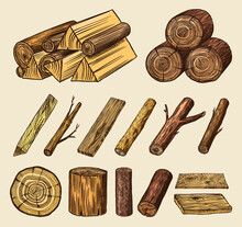 Wood Set. Planks And Logs, Lumber And Cuts, Firewood In Vintage Style. Pieces Of Tree. Vector Illusion For Signboard, Labels, Logo Or Banner. Campfire Material. Engraved Hand Drawn Sketch.