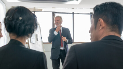 Wall Mural - Happy senior businessman present project in conference workshop with the foreground of back dress of business team meeting and talking in modern office.