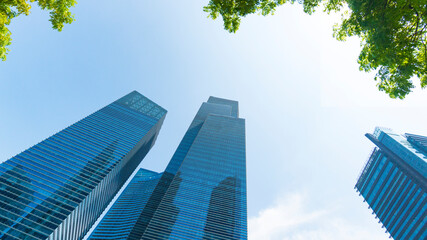 Wall Mural - perspective exterior pattern blue glass wall modern buildings with green tree leaves