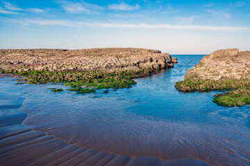 Wall Mural - Rocky coast with green seaweed