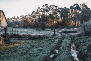 Poster - Frozen land in Antas Espos