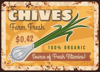 Wall Mural - Farm fresh chives onion harvest rusty metal plate. Kitchen herbs market food product, shop or grocery store retro banner, price signboard with chives onion green stalks, typography and rust texture