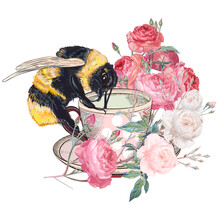 Fashion Illustration With Vector Bumble Bee, Cup And Rose Flowers