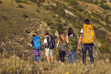 Wall Mural - group of friends tourists hikers with backpacks hiking in row on green mountains valley