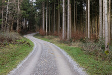 Curved To The Left And Right Forest Road With Gravel In Cloudy Sky In The Daytime, Green Forest With Sick Trees In The Evening Twilight