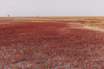 The most beautiful landscape in the reserve on a clear day on the island