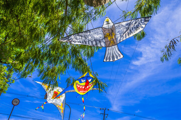 Kite. blue sky, colors and fun