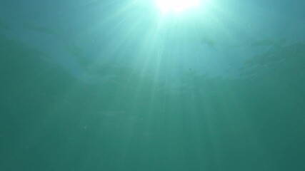 Poster - Sun Light Rays through under water's glittering. Underwater scene 