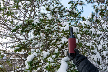 Wall Mural - Wine in nature in the snow