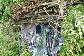 a view of a camouflaged lens in the bushes when photographing wildlife