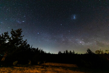 Wall Mural - the amazing night sky full of stars. an awe scenery in the outdoors with the forest, the trees and t