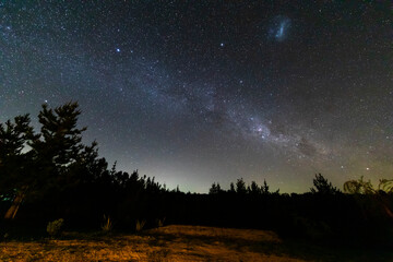 Wall Mural - the amazing night sky full of stars. an awe scenery in the outdoors with the forest, the trees and t
