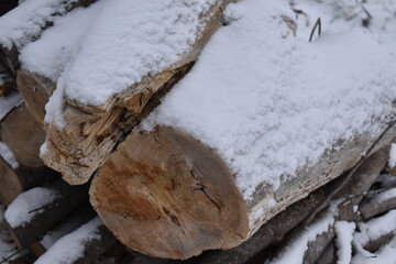 Wall Mural - Snowy Woodpile