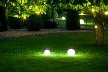 Illumination Garden Light With Electric Ground Lantern With Ball Diffuser Lamp On Meadow With Garland Of Warm Light Bulbs On Tree Branch With Leaves With Landscaping, Illuminate Evening Scene Nobody.