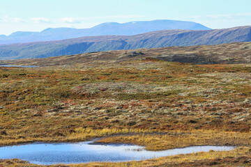 Sticker - Forollhogna national park, Norway