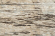 © KONSTANTIN - Natural old wood texture background.