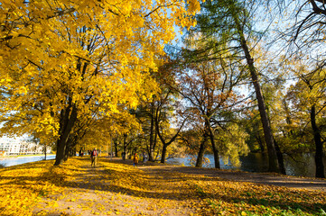  View of city park in autumn