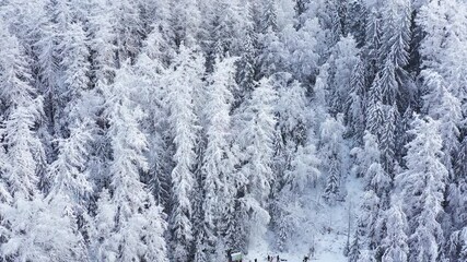Aufkleber - Flight over beautiful winter forest