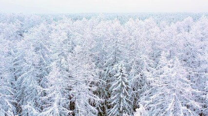 Aufkleber - Flight over beautiful winter forest