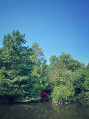 Wall Mural - Red bridge over a pond in a forest