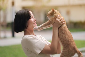 Asian women shorthair playing with orange cat