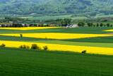 Fototapeta Fototapety z widokami - zielone i żółte (rzepak) pola uprawne na pierwszym planie, w tle góry