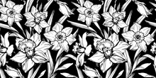 Closeup Black And White Daffodil Seamless Pattern Drawn By Hand On Black Background. Ink Freehand Floral Ornate Blow Up Vector. Perfect For Textile, Fabric, Bedding, Wallpaper.