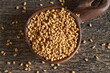Dry fenugreek seeds on a wooden spoon, top view