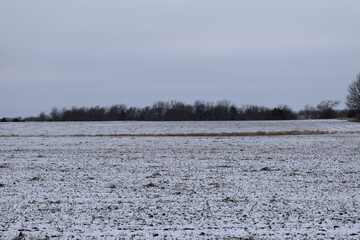 Canvas Print - Snowy Farm Field