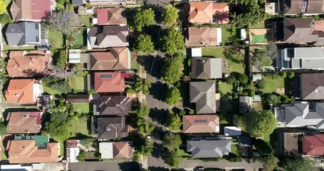 Wall Mural - Traditional residential houses in Sydney, Australia – top down aerial 4k.
