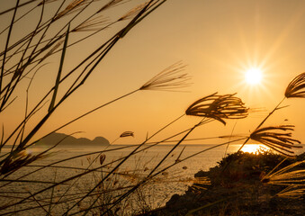 Wall Mural - Sunset time above the ocean