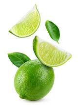 Lime Fruit Isolate. Lime Whole, Half, Slice, Leaf On White. Falling Lime Slices With Leaves. Flying Fruit. Full Depth Of Field..