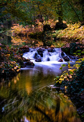  long exposure waterfall in autumn forest