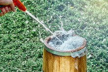 Man Cleans Or Fills Vintage Oak Wood Tub With Clear Water From Hose On Lush Green Lawn Grass On Sunny Summer Day Close View