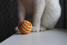 Pet Toy - Orange Jute Ball. In The Background, Out Of Focus Are White Cat Paws. Pet Games. Goods For Animals