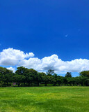 Fototapeta Na sufit - 대만공원에서 찍은 멋짓 하늘과 숲 
