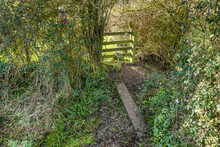 A Stile In A Hedgerow In The Countryside Over Public Footpath 