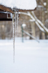 Canvas Print - Ice stalactite on the roof.