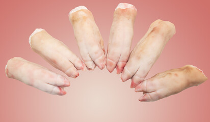 Poster - Pork hoof feet isolated on pink background.