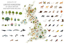 Flat Design Of United Kingdom Wildlife. Animals, Birds And Plants Constructor Elements Isolated On White Set. Build Your Own Geography Infographics Collection.
