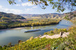 Aerial view of the Wachau vinery and  Danube river region in Austria