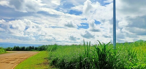 field and sky