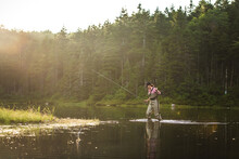 Woman Angler Fly-fishing In NH Backcountry Lake During Afternoon Light