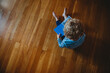 © Cavan Images - Top view of a young child with curls reading a book on the floor
