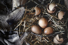 Flat Lay Of Dark Brown Eggs On Straw With Burlap And Feathers