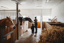 Mother And Child Feeding A Horse In A Stable At Farm In Winter