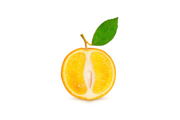 Wall Mural - ripe orange on a branch on a white background