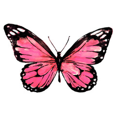 Wall Mural - beautiful pink butterflies, pink pattern